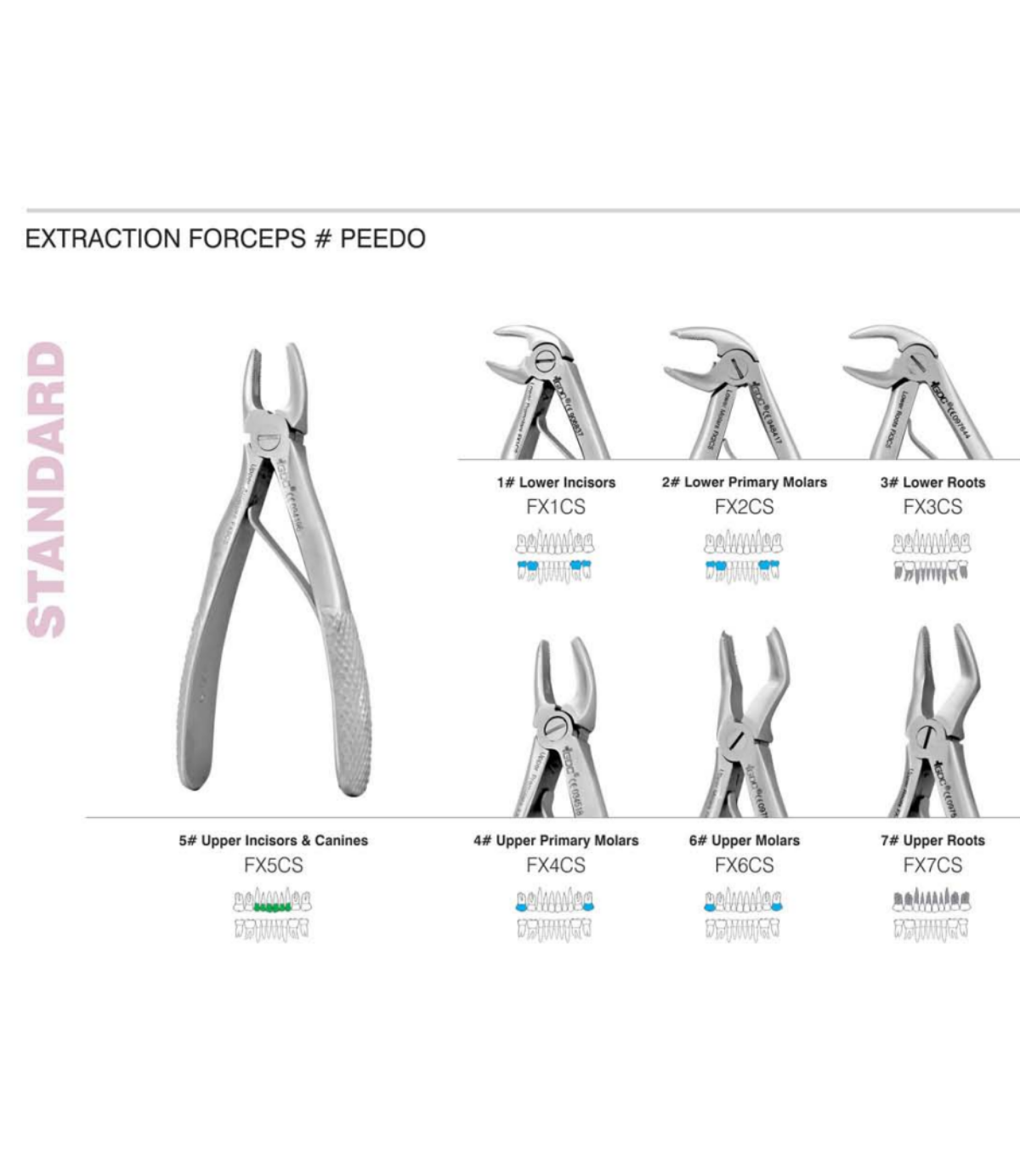 GDC Pedo Extraction Forceps Standard Dental Genie